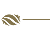 blwT2.png