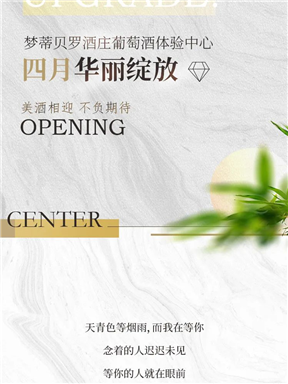 MON时讯｜不负期待，美好绽放！