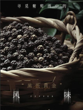 MON庄园纪事｜寻觅葡萄酒中的“黑色黄金”风味