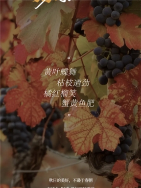 MON庄园纪事｜秋深物华，来一场City Drink