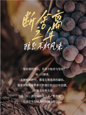 MON庄园纪事｜断舍离之年，酿出不朽风味