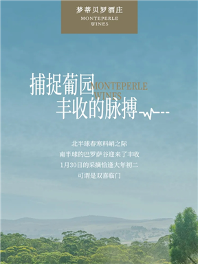 MON庄园纪事｜捕捉葡园丰收的脉搏