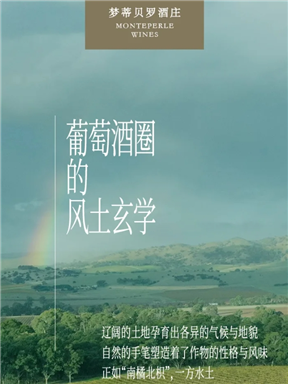 MON庄园纪事｜葡萄酒圈的风土玄学