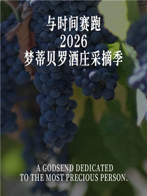 MON庄园纪事｜与时间赛跑：2026梦蒂贝罗酒庄采摘季