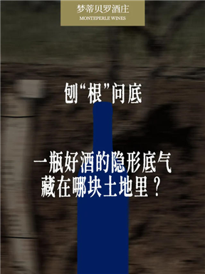 MON庄园纪事｜刨“根”问底：一瓶好酒的隐形底气，来自哪里？